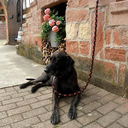 Apartamento Gaestehaus Im Malerwinkel-rhodt Rhodt unter Rietburg