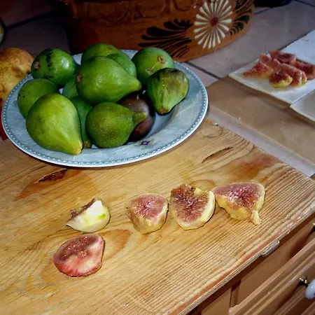 Apartamento Gaestehaus Im Malerwinkel-rhodt