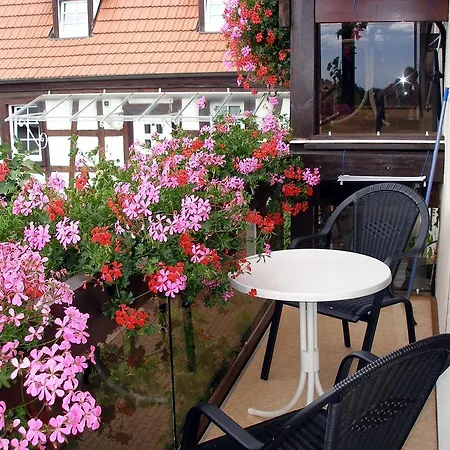 Gaestehaus Im Malerwinkel-rhodt Apartamento Rhodt unter Rietburg