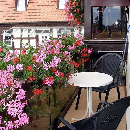 Gaestehaus Im Malerwinkel-rhodt شقة روست أونتر ريتبورغ