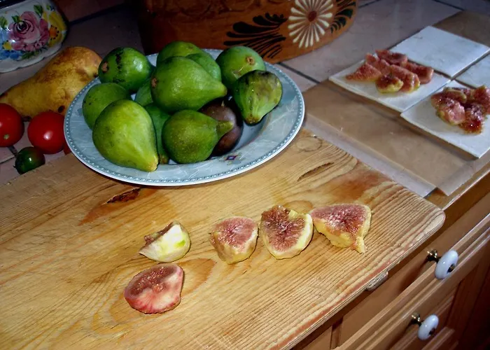 Apartment Gaestehaus Im Malerwinkel-rhodt