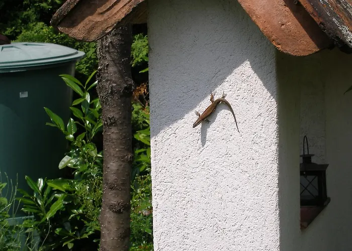 Gaestehaus Im Malerwinkel-rhodt